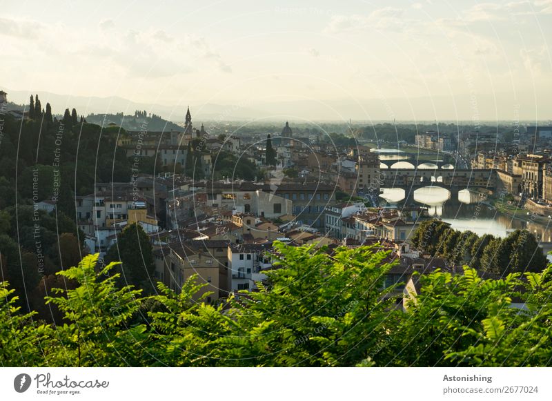 die Brücken von Florenz Umwelt Natur Landschaft Himmel Wolken Horizont Sonnenaufgang Sonnenuntergang Sommer Wetter Schönes Wetter Pflanze Baum Blatt Hügel Fluss