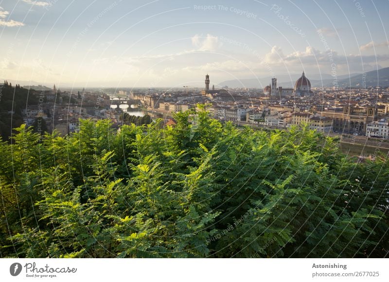 Blick auf Florenz Umwelt Natur Landschaft Himmel Horizont Sonnenaufgang Sonnenuntergang Pflanze Baum Blatt Fluss Arno Italien Stadt Stadtzentrum Altstadt Haus