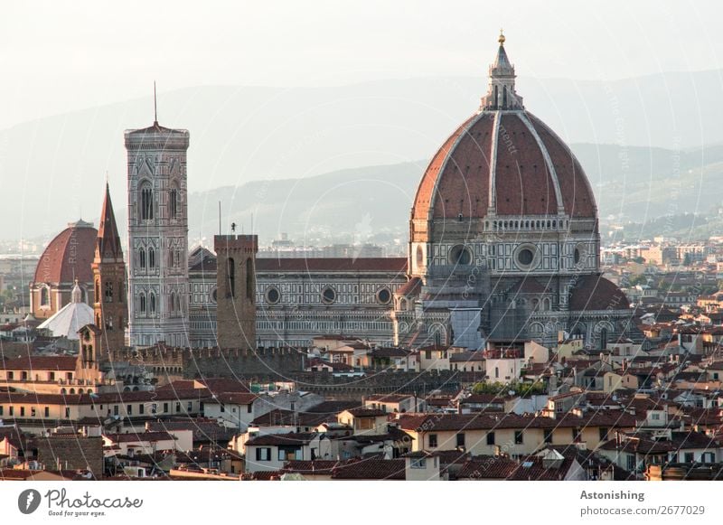 großes Gebäude Himmel Horizont Wetter Schönes Wetter Hügel Berge u. Gebirge Florenz Italien Stadt Stadtzentrum Altstadt Haus Kirche Dom Turm Bauwerk Architektur