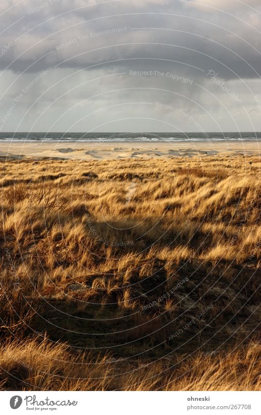 Nordsee Landschaft Urelemente Erde Luft Wasser Wolken Gewitterwolken Klima Wetter Schönes Wetter schlechtes Wetter Regen Wellen Küste Strand Insel Borkum