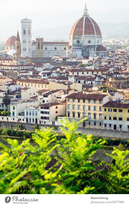 Kathedrale von Florenz Umwelt Natur Landschaft Himmel Horizont Pflanze Blatt Hügel Italien Stadt Stadtzentrum Altstadt Haus Kirche Dom Turm Bauwerk Gebäude