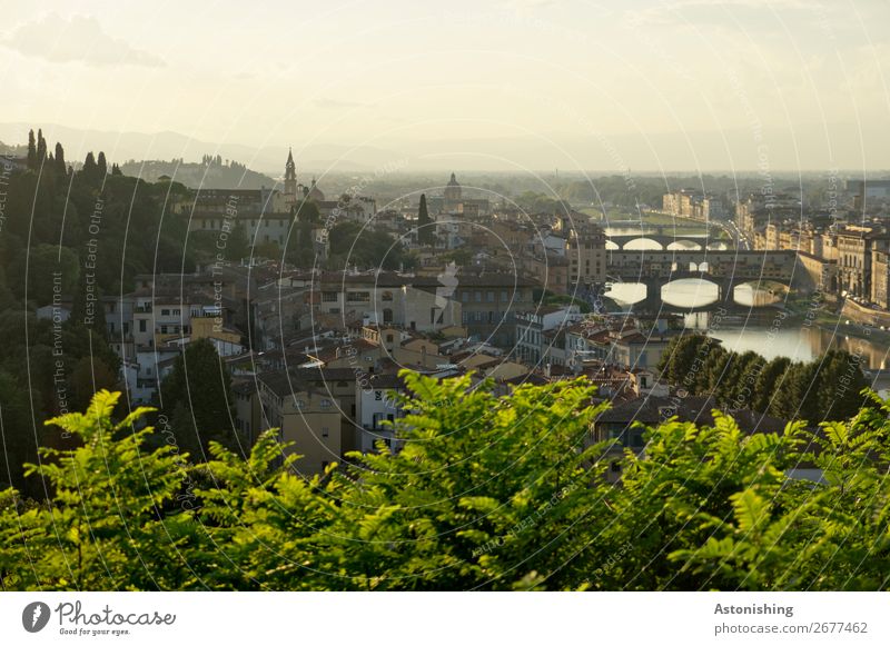 Brücken im Abendlicht Umwelt Natur Landschaft Himmel Horizont Sonnenaufgang Sonnenuntergang Sommer Pflanze Baum Blatt Park Hügel Fluss Arno Florenz Italien