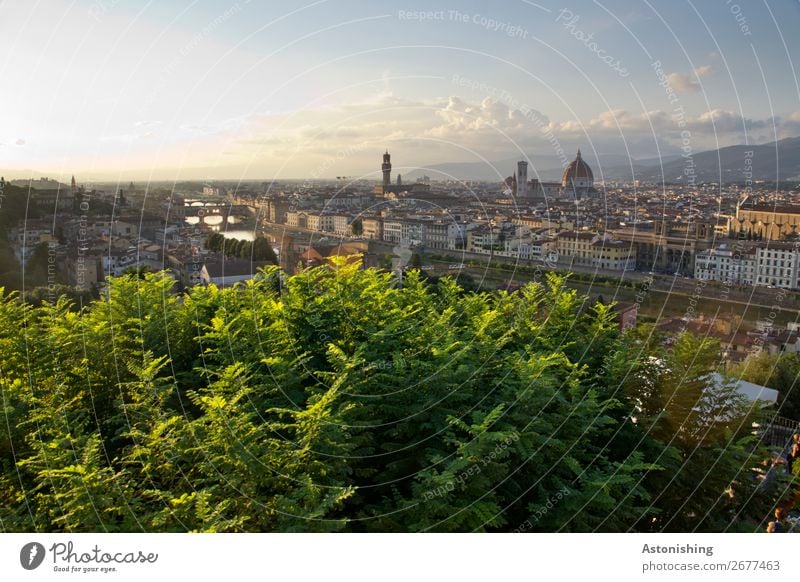 Florenz am Abend Umwelt Natur Landschaft Himmel Wolken Horizont Sommer Pflanze Baum Hügel Fluss Arno Italien Stadt Stadtzentrum Haus Kirche Dom Turm Bauwerk