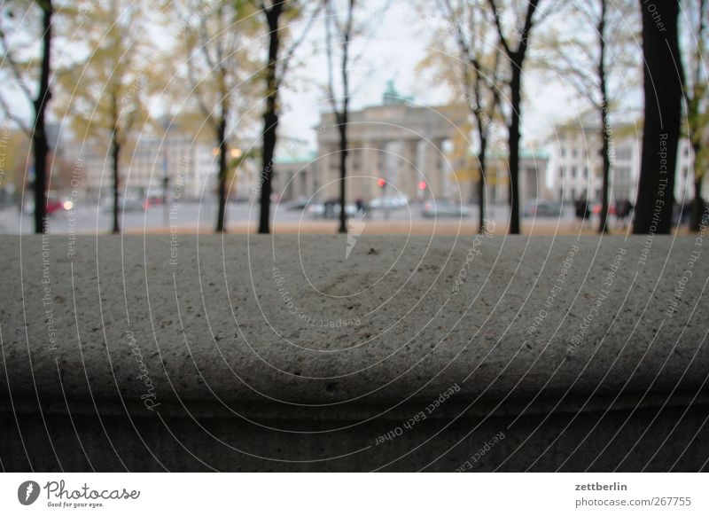 Brandenburger Tor Stadt Hauptstadt Stadtzentrum Haus Platz Bauwerk Gebäude Sehenswürdigkeit Wahrzeichen Denkmal gut Pariser Platz Mauer Mitte Baum Herbst