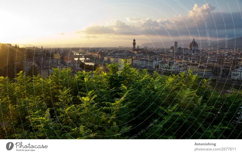 Florenz in der Abendsonne Umwelt Natur Landschaft Himmel Wolken Horizont Pflanze Baum Blatt Hügel Fluss Arno Italien Stadtzentrum Stadtrand Haus Kirche Dom Turm