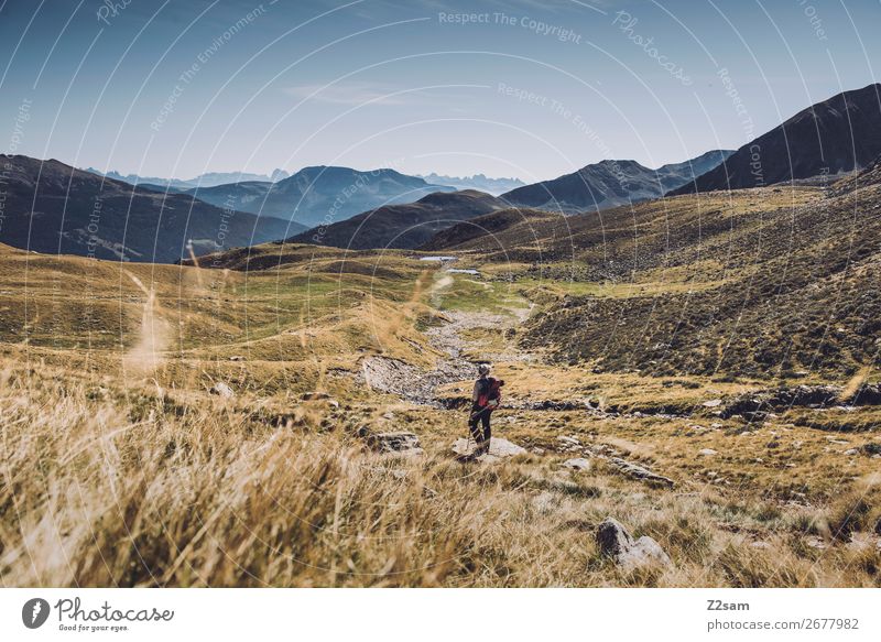 Junge Frau auf dem Abstieg vom Gipfel | E5 Alpenüberquerung Ferien & Urlaub & Reisen Abenteuer Berge u. Gebirge wandern Klettern Bergsteigen Jugendliche Natur