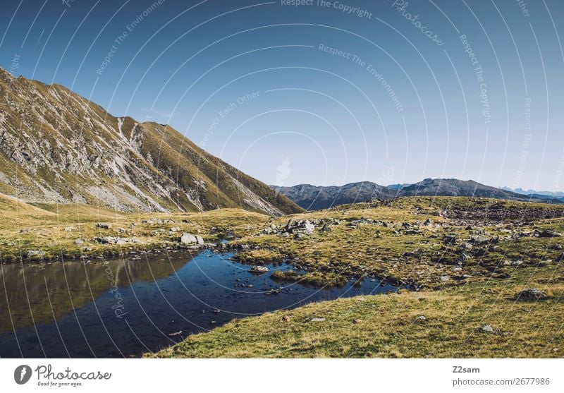 Südtiroler Bergsee | Hirzer | E5 Alpenüberquerung wandern Klettern Bergsteigen Umwelt Natur Landschaft Wolkenloser Himmel Sommer Schönes Wetter Wiese