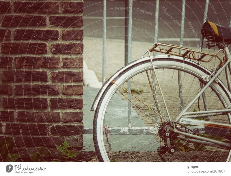 Alte Fieze Fahrradfahren alt Rost Backstein Gitter Neigung krumm parken Mauer Gepäckträger Schutzblech Speichen rotbraun Metallwaren Farbfoto Gedeckte Farben