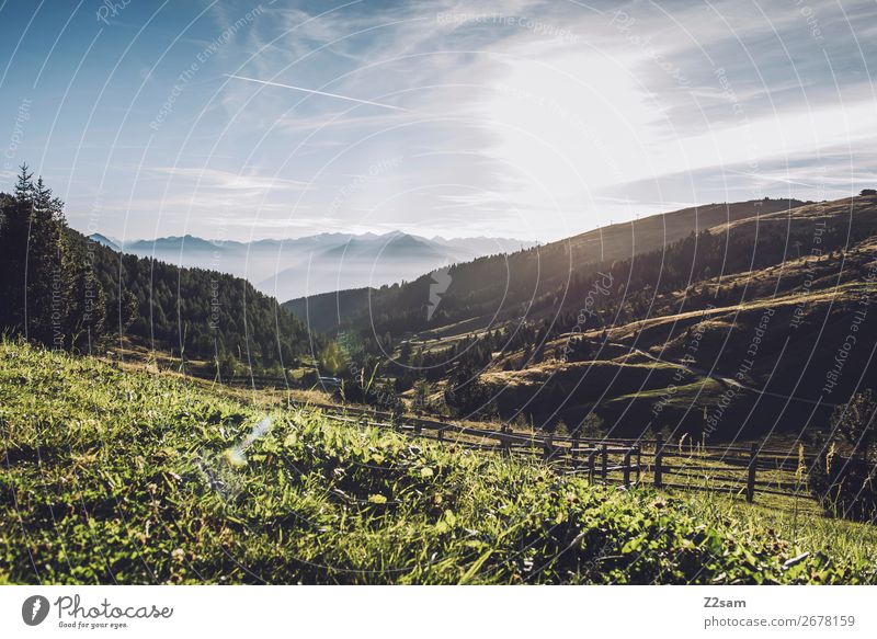 Meran 2000 Freizeit & Hobby Ferien & Urlaub & Reisen Berge u. Gebirge wandern Natur Landschaft Sonne Sommer Schönes Wetter Alpen Gipfel Bergwiese natürlich