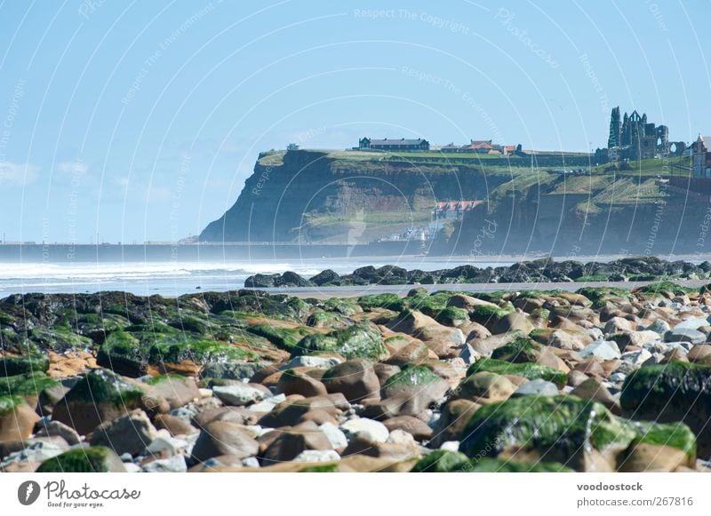 Whitby Coast Line Strand Luft Wasser Himmel Nordsee Sehenswürdigkeit Wahrzeichen whitby Abtei Ferien & Urlaub & Reisen frisch north yorkshire England