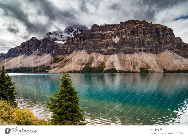 Crowfoot Mountain sorum Ferien & Urlaub & Reisen Berge u. Gebirge Natur Landschaft Urelemente Wolken Herbst schlechtes Wetter Sträucher Tanne Nadelbaum Felsen