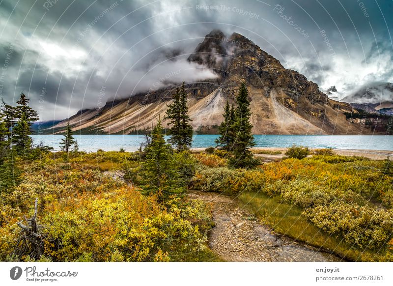 Herbst am Mount Crowfoot Ferien & Urlaub & Reisen Ausflug Berge u. Gebirge Umwelt Natur Landschaft Wolken Klima Klimawandel Wetter Sträucher Tanne Nadelbaum