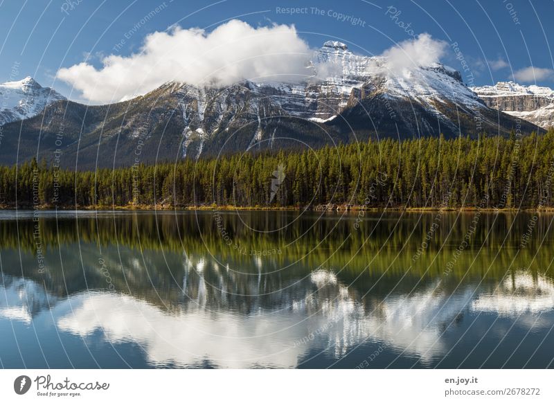 Spiegelglatt Ferien & Urlaub & Reisen Ausflug Berge u. Gebirge Natur Landschaft Wolken Sommer Herbst Wetter Wald Rocky Mountains Schneebedeckte Gipfel Seeufer