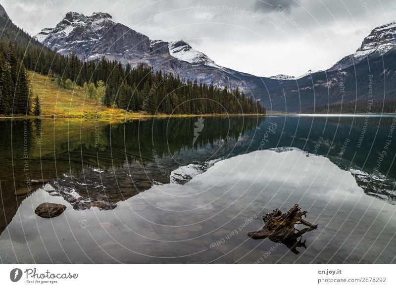 Windstill Ferien & Urlaub & Reisen Ausflug Natur Landschaft Wolken Herbst Wald Hügel Felsen Berge u. Gebirge Rocky Mountains Seeufer Emerald Lake ruhig