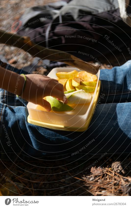 Pause Lebensmittel Frucht Apfel Ernährung Essen Picknick Bioprodukte Vegetarische Ernährung Slowfood berühren Erholung Zusammenhalt Farbfoto Außenaufnahme