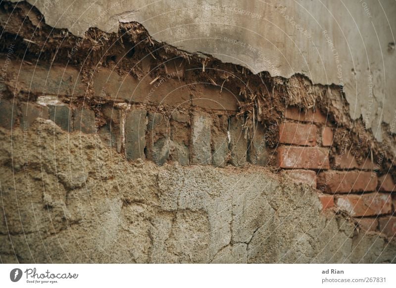 bröckelnd Altstadt Haus Ruine Mauer Wand Backsteinwand Backsteinfassade verfallen alt Farbfoto Außenaufnahme Muster Strukturen & Formen Totale