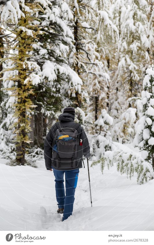 Septemberschnee Freizeit & Hobby Ferien & Urlaub & Reisen Tourismus Ausflug Abenteuer Expedition Winter Schnee Winterurlaub Berge u. Gebirge wandern maskulin