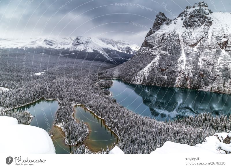 Lake O'Hara Ferien & Urlaub & Reisen Ausflug Abenteuer Ferne Freiheit Expedition Winter Schnee Winterurlaub Berge u. Gebirge wandern Natur Landschaft Wolken