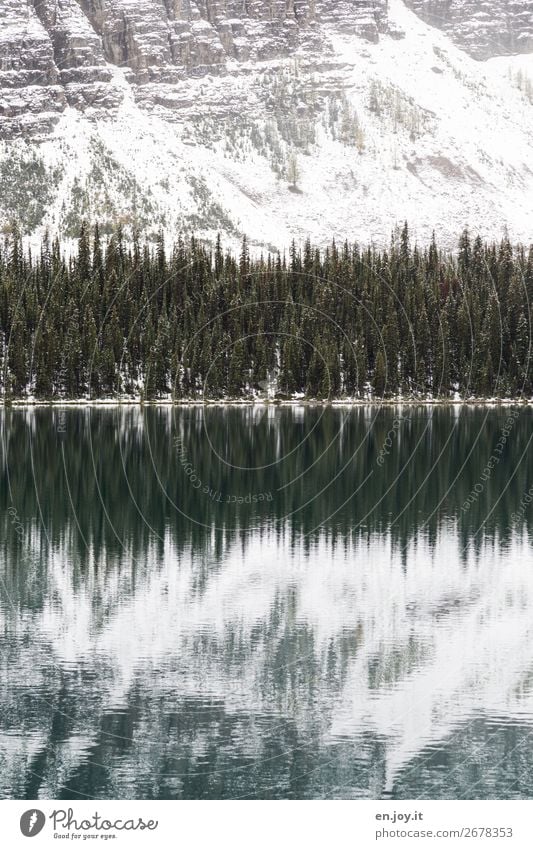 Unberührt Ferien & Urlaub & Reisen Ausflug Winter Berge u. Gebirge Umwelt Natur Landschaft Urelemente Wald Felsen Rocky Mountains Seeufer Lake O'Hara Gebirgssee