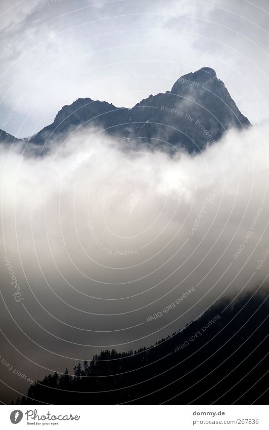 ende Umwelt Natur Landschaft Pflanze Himmel Wolken Baum Felsen Berge u. Gebirge Gipfel Stein blau Schweiz kalt Wald hoch dunkel bedrohlich klein Freiheit