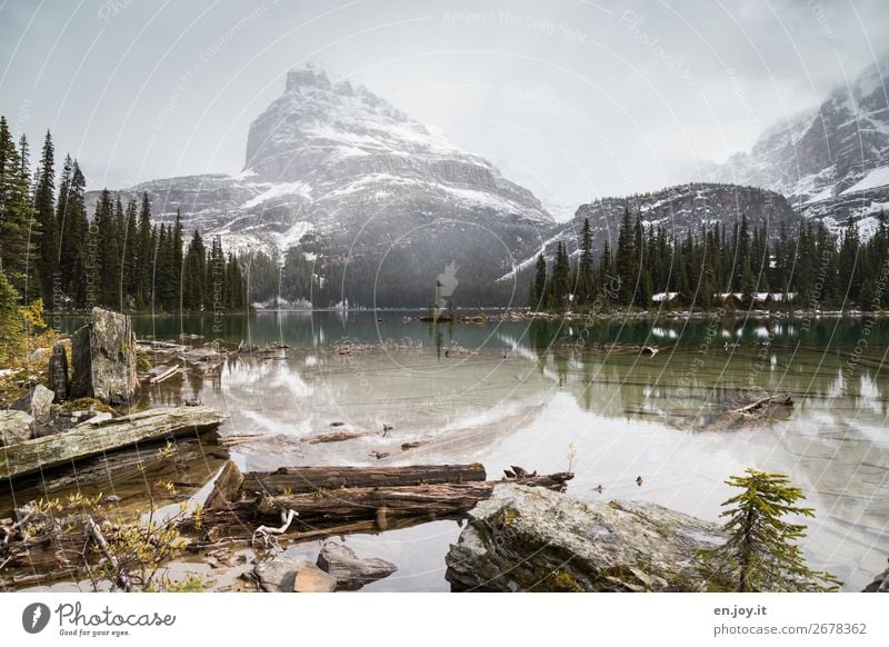 Lake O'Hara Ferien & Urlaub & Reisen Tourismus Ausflug Abenteuer Ferne Freiheit Expedition Winter Berge u. Gebirge Umwelt Natur Landschaft Wolken Wald Felsen