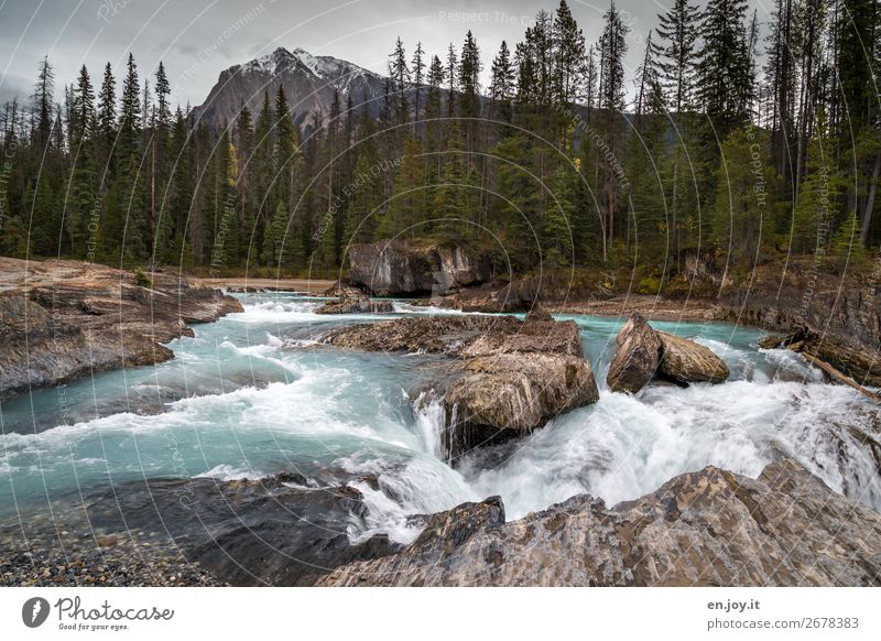 Natural Bridge Ferien & Urlaub & Reisen Ausflug Berge u. Gebirge Landschaft Wald Felsen Flussufer Kicking Horse Wasserfall wild Abenteuer Klima Tourismus Kanada