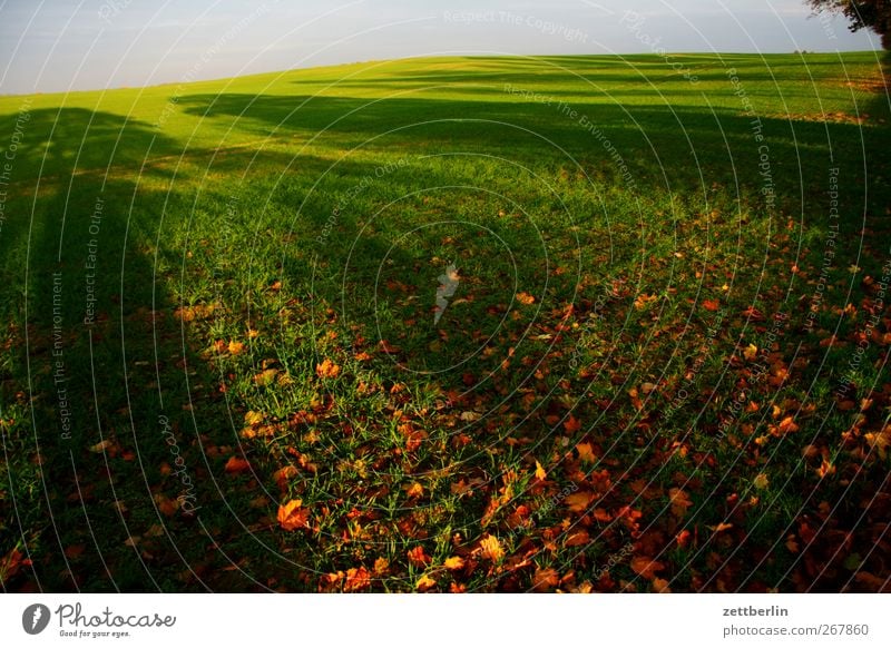 Weit Umwelt Natur Landschaft Pflanze Urelemente Erde Herbst Klima Klimawandel Wetter Schönes Wetter Gras Blatt Grünpflanze Wiese Feld gut schön Ferne Herbstlaub