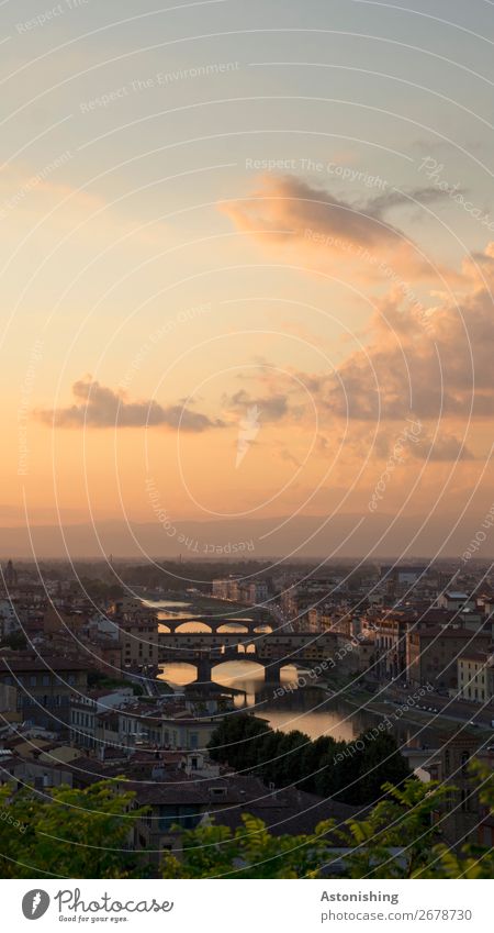 der Arno Umwelt Natur Landschaft Himmel Wolken Horizont Sonnenaufgang Sonnenuntergang Wetter Pflanze Baum Blatt Fluss Florenz Italien Stadt Stadtzentrum Haus