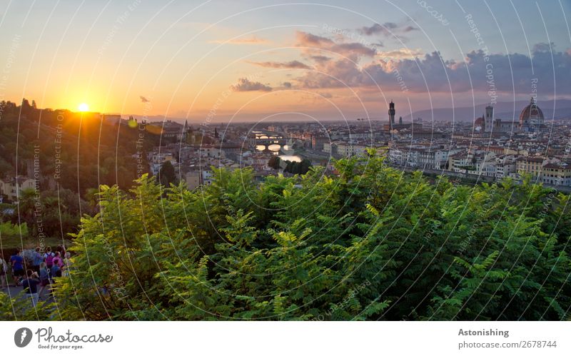 das letzte Licht des Tages Umwelt Natur Landschaft Himmel Wolken Horizont Sonne Sonnenaufgang Sonnenuntergang Sonnenlicht Sommer Wetter Schönes Wetter Pflanze