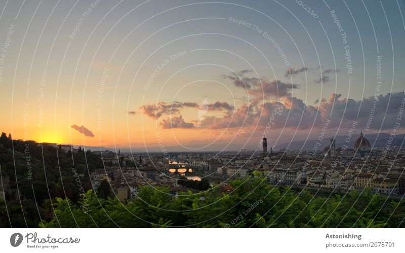 und weg... Umwelt Natur Landschaft Himmel Wolken Horizont Sonne Sonnenaufgang Sonnenuntergang Sonnenlicht Wetter Pflanze Baum Blatt Fluss Arno Florenz Italien