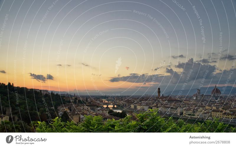 Florenz nach Sonnenuntergang Natur Landschaft Himmel Wolken Horizont Sonnenaufgang Sonnenlicht Wetter Schönes Wetter Pflanze Baum Blatt Fluss Arno Italien Stadt