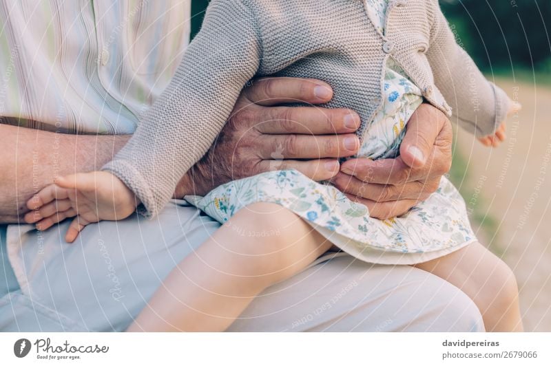 Kleines Mädchen sitzt auf den Beinen des älteren Mannes im Freien. Haut Leben Kind Ruhestand Mensch Baby Frau Erwachsene Eltern Großvater