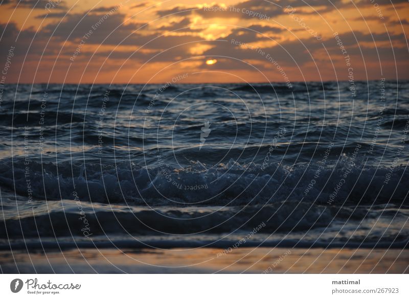 Sonnenaufgang Schwimmen & Baden Ferien & Urlaub & Reisen Sommer Strand Meer Wellen Erholung Freizeit & Hobby Horizont Außenaufnahme Morgen Sonnenuntergang