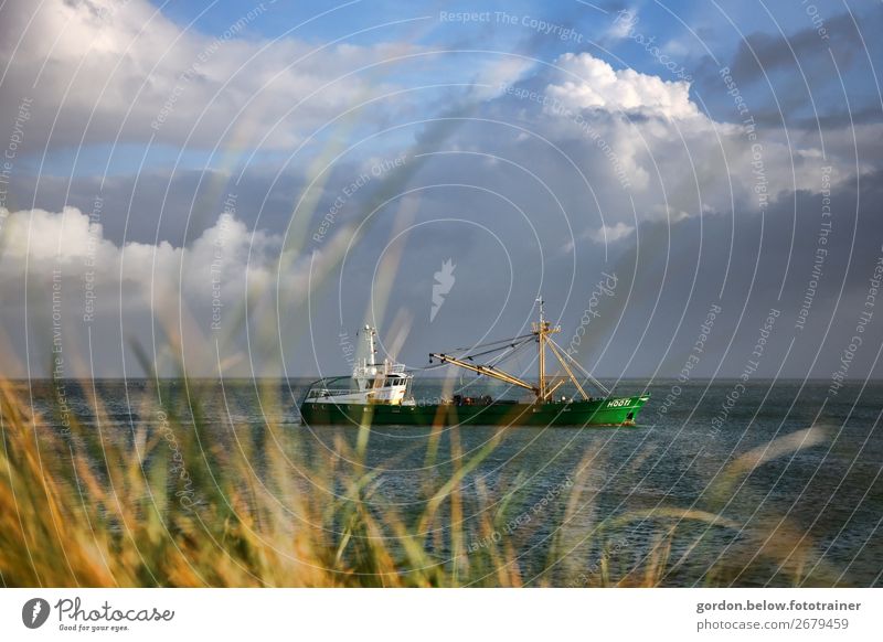 Entdeckungsreise Glück Freizeit & Hobby Ferien & Urlaub & Reisen Ausflug Abenteuer Ferne Natur Pflanze Wasser Himmel Wolken Sommer Gras Nordsee Schifffahrt