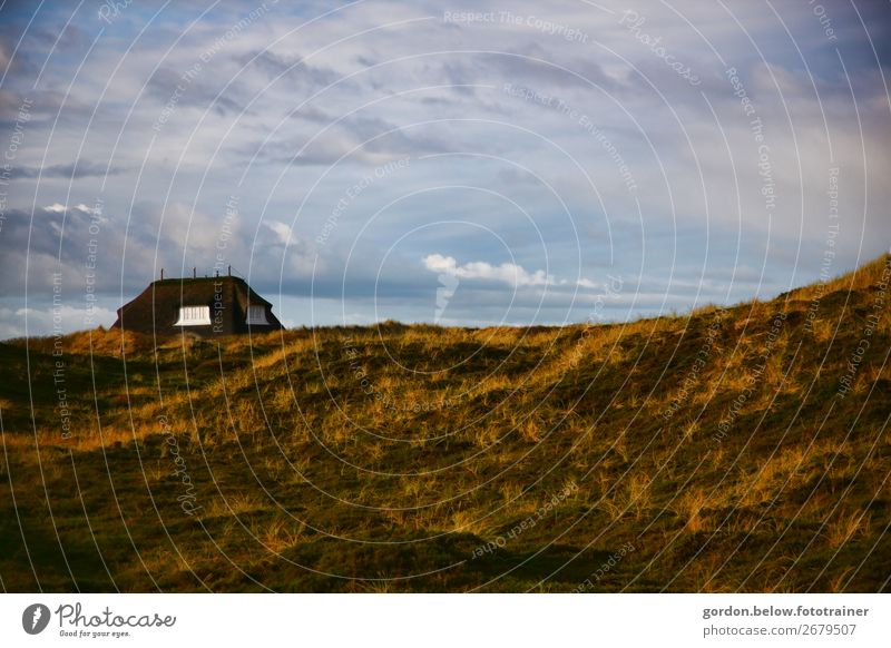 Haus am Meer Ferien & Urlaub & Reisen Freiheit Natur Landschaft Pflanze Himmel Wolken Frühling Gras Hügel Nordsee Traumhaus Fenster Dach entdecken Erholung