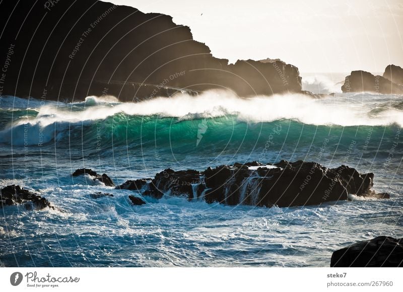 Feierabendbrandung Wasser Sonnenaufgang Sonnenuntergang Wind Felsen Wellen Küste Meer blau grün Erholung Brandung Teneriffa Gischt Klippe Gedeckte Farben