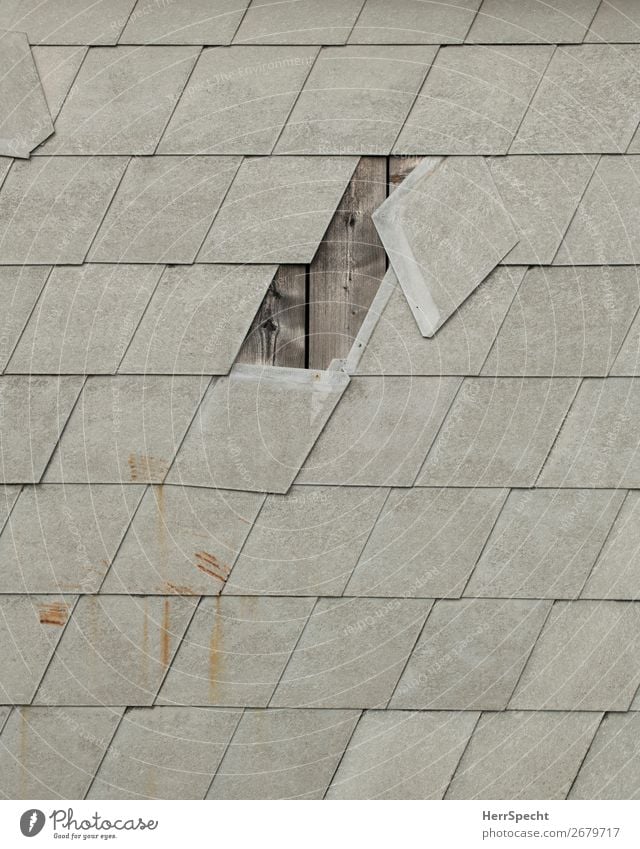 Leerstelle Dorf Haus Bauwerk Gebäude Mauer Wand Beton Holz alt kaputt trashig trist grau Eternit Schaden leer Loch Wandverkleidung Farbfoto Gedeckte Farben