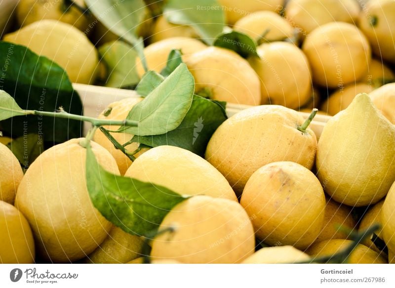 Limonadenrohstoff Lebensmittel Frucht Ernährung Vegetarische Ernährung frisch lecker sauer gelb Foodfotografie Zitrone zitronengelb Zitronenschale Markt