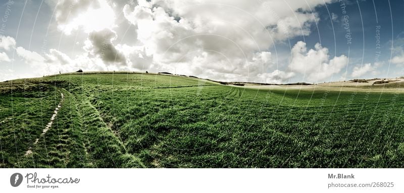 immer weiter Natur Landschaft Pflanze Himmel Wolken Sommer Gras Feld Fußweg Gelassenheit ruhig Freiheit grün Ferne nordfrankreich Frankreich Farbfoto