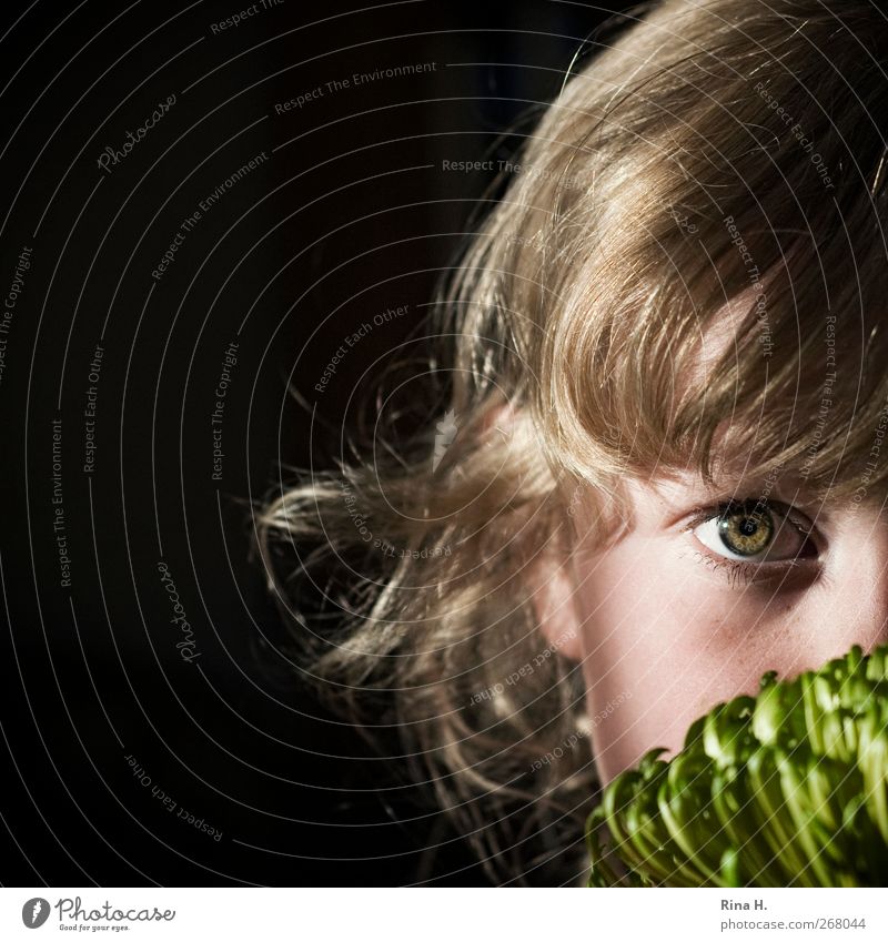 Fräulein GrünAuge Kind Mädchen 1 Mensch Blume Chrysantheme blond Blühend Duft leuchten Blick schön Kindergesicht Kinderportrait Gesichtsausschnitt Anschnitt