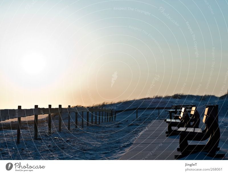 sonnenbank Ferien & Urlaub & Reisen Ausflug Sonne Sonnenbad Strand Umwelt Natur Landschaft Pflanze Sand Himmel Wolkenloser Himmel Frühling Schönes Wetter Küste