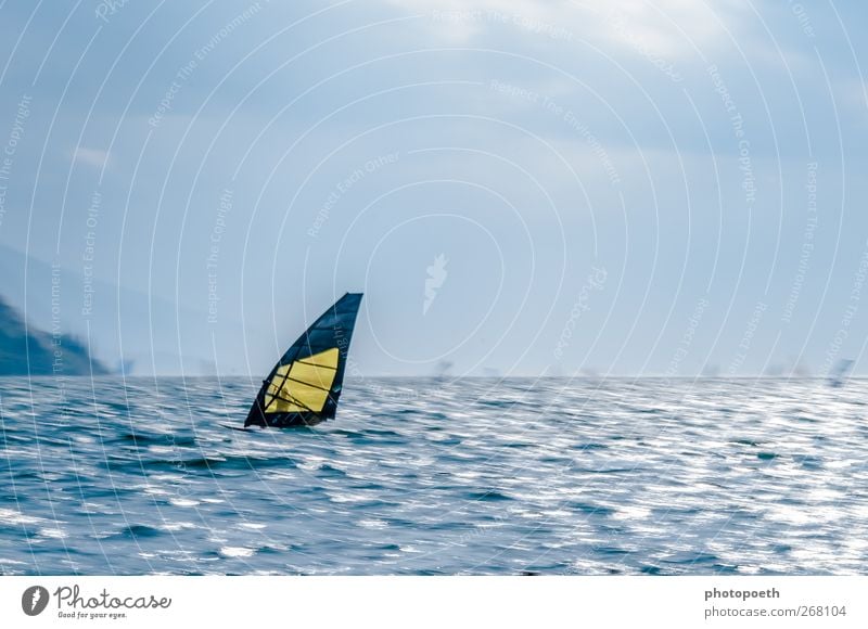 Windsurfer in Torbole, Gardasee 03 Wellen Berge u. Gebirge Sport Wassersport Sportler Natur Horizont Alpen Seeufer Bewegung sportlich Geschwindigkeit blau braun