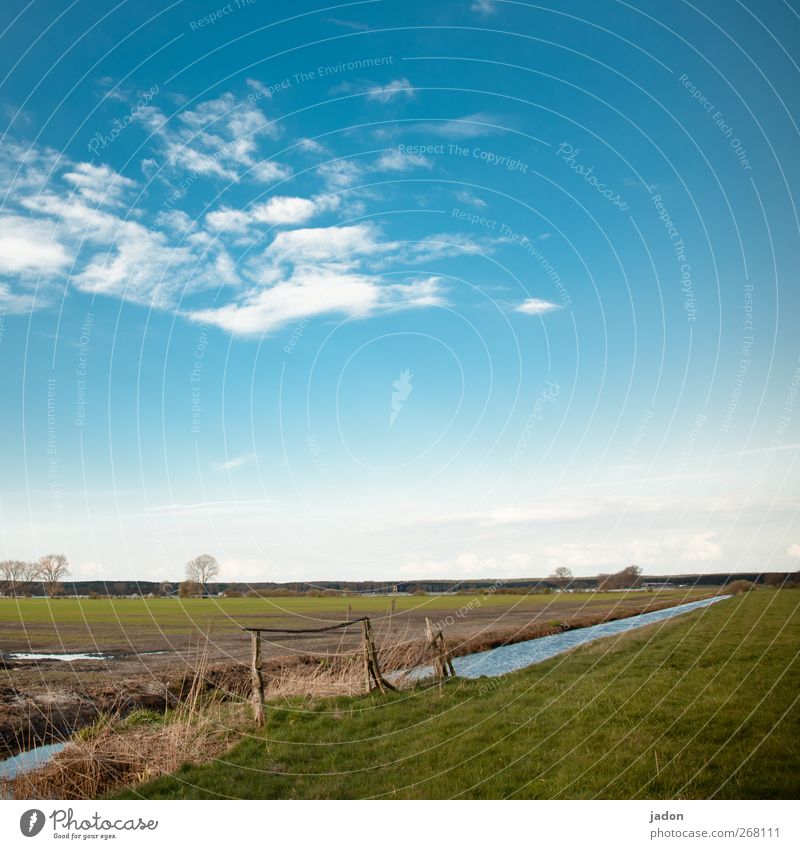 als der winter fortging. ruhig Umwelt Natur Landschaft Erde Wasser Himmel Wolken Frühling Gras Wiese Feld Weide ästhetisch Unendlichkeit blau grün Fernweh