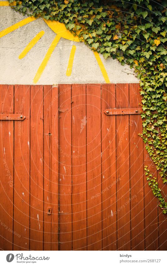 Freude, die Sonne kommt raus ! Efeu Tür leuchten ästhetisch Freundlichkeit Fröhlichkeit lustig gelb grün rot Warmherzigkeit einzigartig Kreativität Kunst Natur