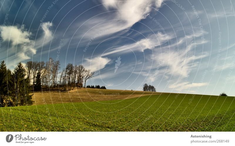 Wolkenfetzen Umwelt Natur Landschaft Pflanze Erde Luft Himmel Frühling Wetter Schönes Wetter Wärme Baum Gras Sträucher Blatt Grünpflanze Wiese Feld Hügel blau