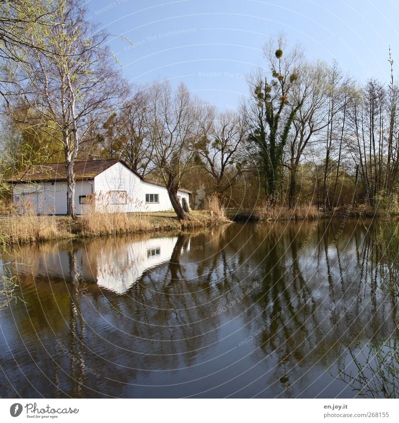 Haus am See ruhig Traumhaus Natur Landschaft Wasser Wolkenloser Himmel Baum Seeufer Einfamilienhaus Hütte Gebäude Häusliches Leben einfach blau grün Gefühle