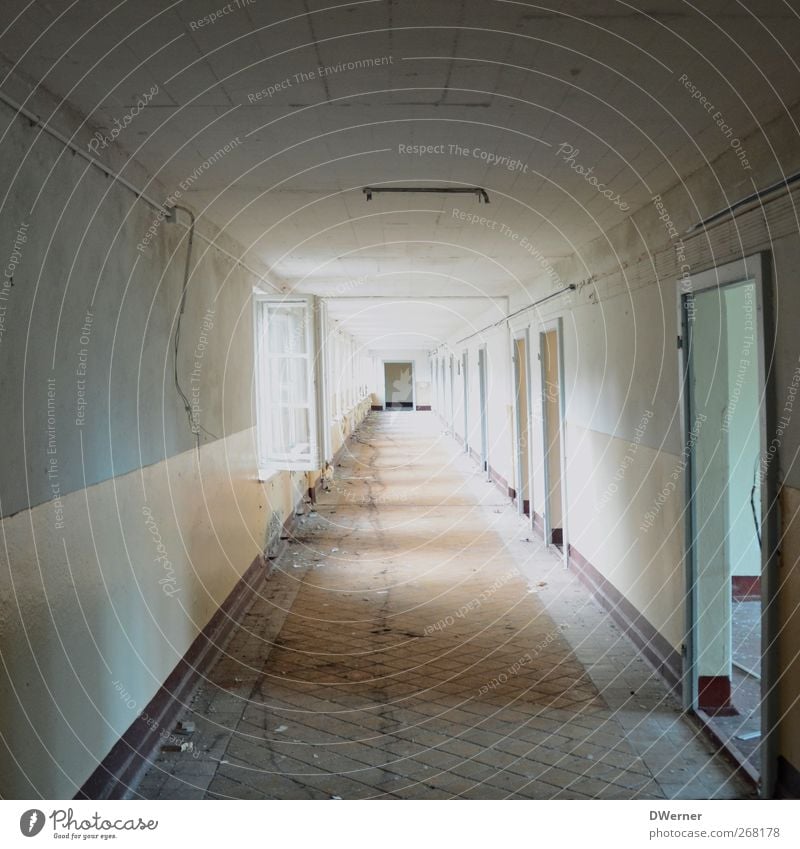 Tunnelblick Häusliches Leben Wohnung Renovieren Umzug (Wohnungswechsel) Baustelle Fabrik Industrieanlage Ruine Bauwerk Gebäude Architektur Mauer Wand Tür