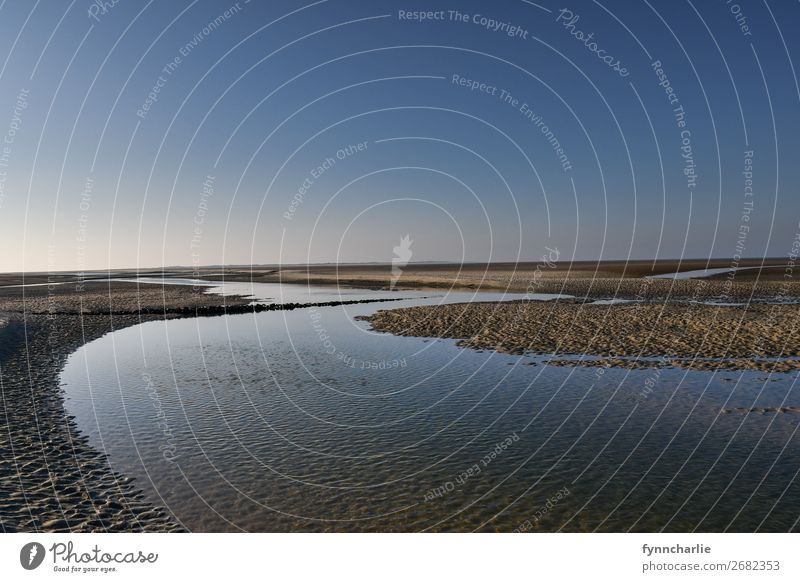 Fluss am Strand Umwelt Natur Landschaft Urelemente Sand Wasser Himmel Wolkenloser Himmel Sonne Sonnenlicht Herbst Klima Wetter Schönes Wetter Wellen Küste