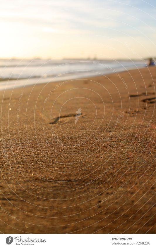 der weg ist das ziel Freizeit & Hobby Ferien & Urlaub & Reisen Tourismus Sommerurlaub Strand Meer Wellen Sand Wasser Himmel Schönes Wetter Küste Bucht gehen