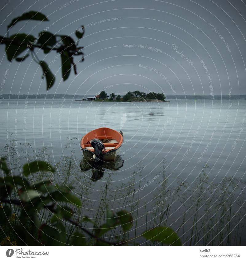 Vor Anker Umwelt Natur Landschaft Pflanze Urelemente Wasser Himmel Wolken Horizont Klima Schönes Wetter Baum Blatt Küste Insel Fischerboot Motorboot liegen